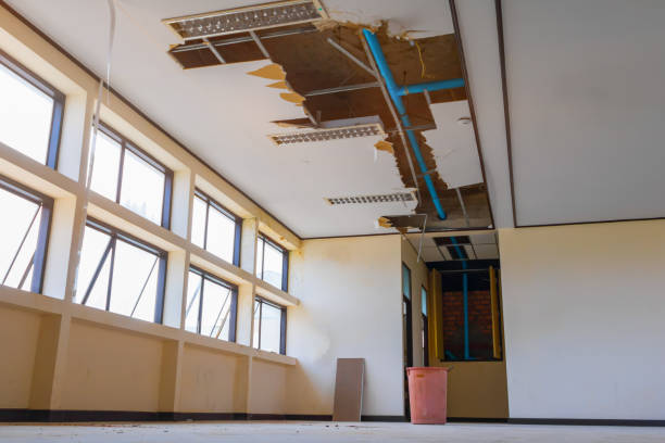 Best Water damage restoration near me  in Crosby, TX