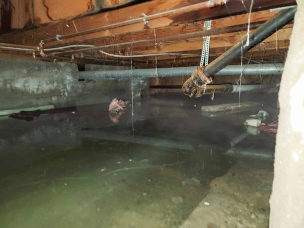 Best Sewage cleanup and water damage restoration  in Crosby, TX
