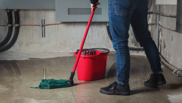 Best 24-hour water damage restoration  in Crosby, TX