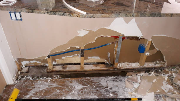 Water damage restoration mold remediation in Crosby, TX