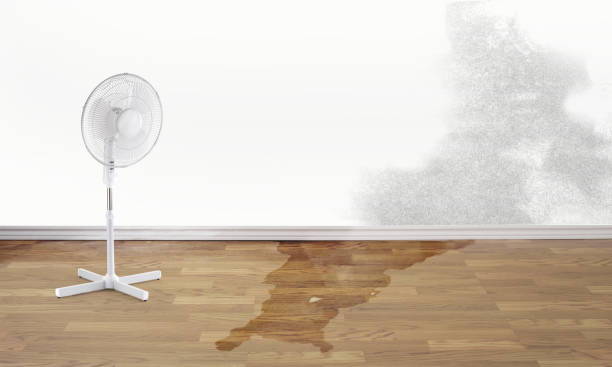 Best Ceiling water damage repair  in Crosby, TX