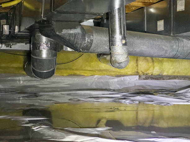 Best Carpet water damage restoration  in Crosby, TX
