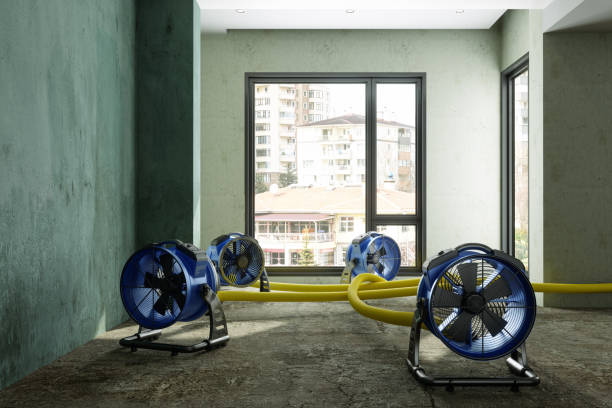 Best Carpet water damage restoration  in Crosby, TX