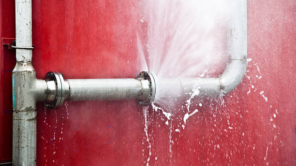 Best Flood damage cleanup  in Crosby, TX