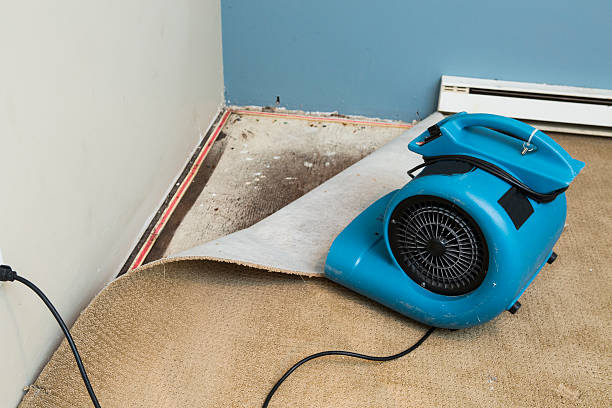 Best Flooded house restoration  in Crosby, TX